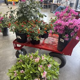 Just todays haul Just todays haul