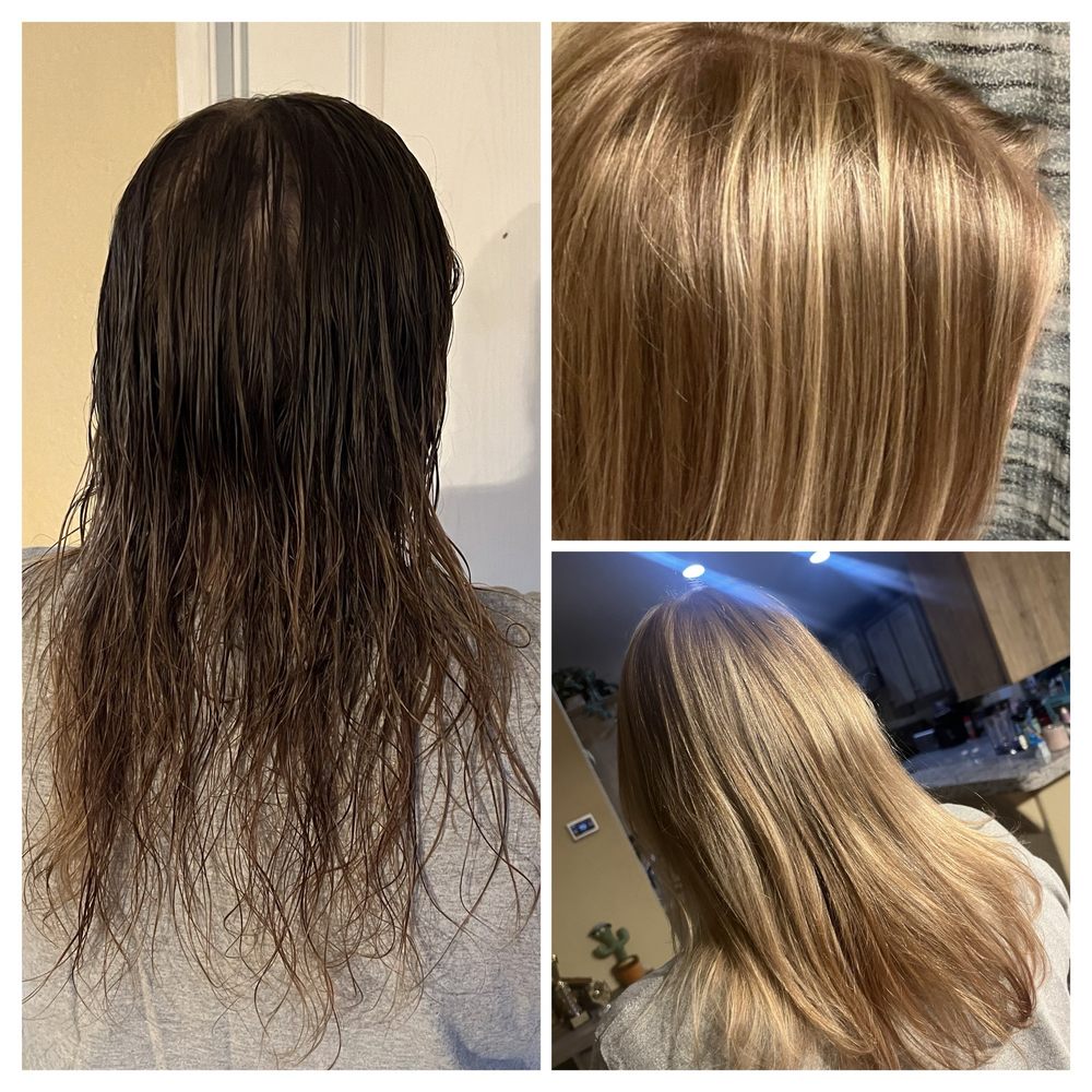 The Color Bar Salon Logo