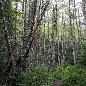 Goat Lake Trail - Hiking Near Me Goat Lake Trail - Hiking Near Me