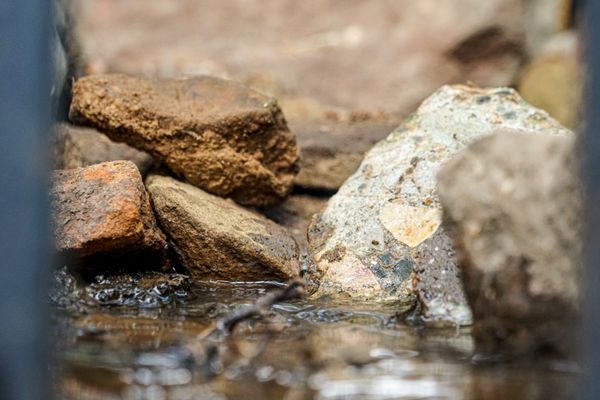 Buzzcutters Landscaping