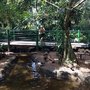 Photo of Orquidário Municipal