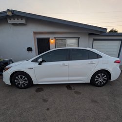 Top Tier Tint - 20% tint