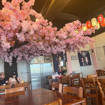 Umami Ramen House - The Cherry Blossom tree inside is beautiful. - Ramen Near Me - El Paso, Texas