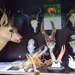 Außenmühlenfest - Einheimische Tiere