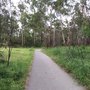 Photo of Mullum Mullum Trail