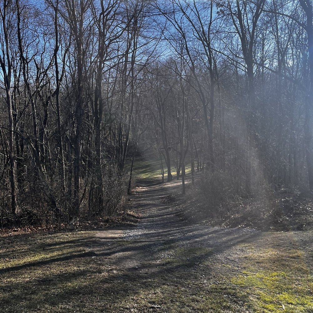 Wilson Park - One of the many disc golf holes - Parks Near Me - Mishawaka, Indiana Wilson Park - One of the many disc golf holes - Parks Near Me - Mishawaka, Indiana