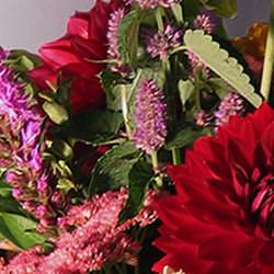 Lubliner Florist