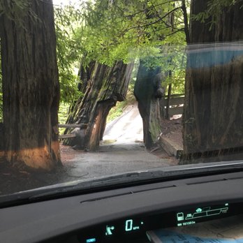 Shrine Drive Thru Tree - Landmarks & Historical Buildings Near Me - Meyers Flat, California Shrine Drive Thru Tree - Landmarks & Historical Buildings Near Me - Meyers Flat, California