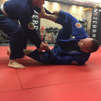 Primal MMA Academy - Martial Arts Near Me - Toronto, Ontario