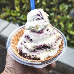 Blueberry Cobbler.