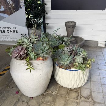 Moon Valley Nurseries - Nurseries & Gardening Near Me - Brentwood, California