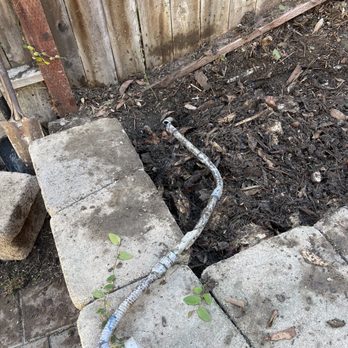 Premier Tree Experts - Electric outlet wire was cut which they tried to quickly hide as I was watching. - Tree Services Near Me - Orange, California Premier Tree Experts - Electric outlet wire was cut which they tried to quickly hide as I was watching. - Tree Services Near Me - Orange, California