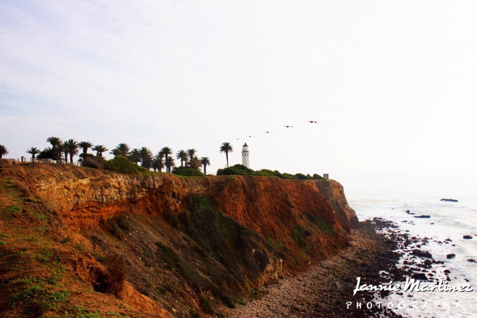 Point Vicente Fishing Access Point