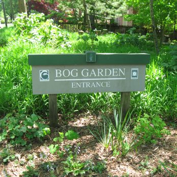 The Bog Garden - Parks Near Me - Greensboro, North Carolina