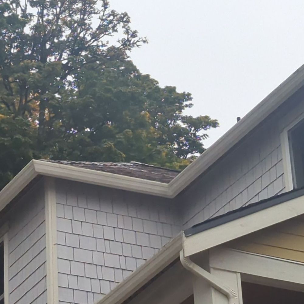 Astro Roofing - Roof is clean, and the white part is the moss treatment. - Roofing Near Me - Kirkland, Washington Astro Roofing - Roof is clean, and the white part is the moss treatment. - Roofing Near Me - Kirkland, Washington