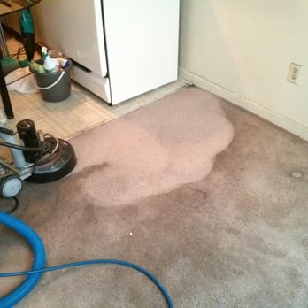 Trojan Carpet Care - Carpet Cleaning Near Me Trojan Carpet Care - Carpet Cleaning Near Me