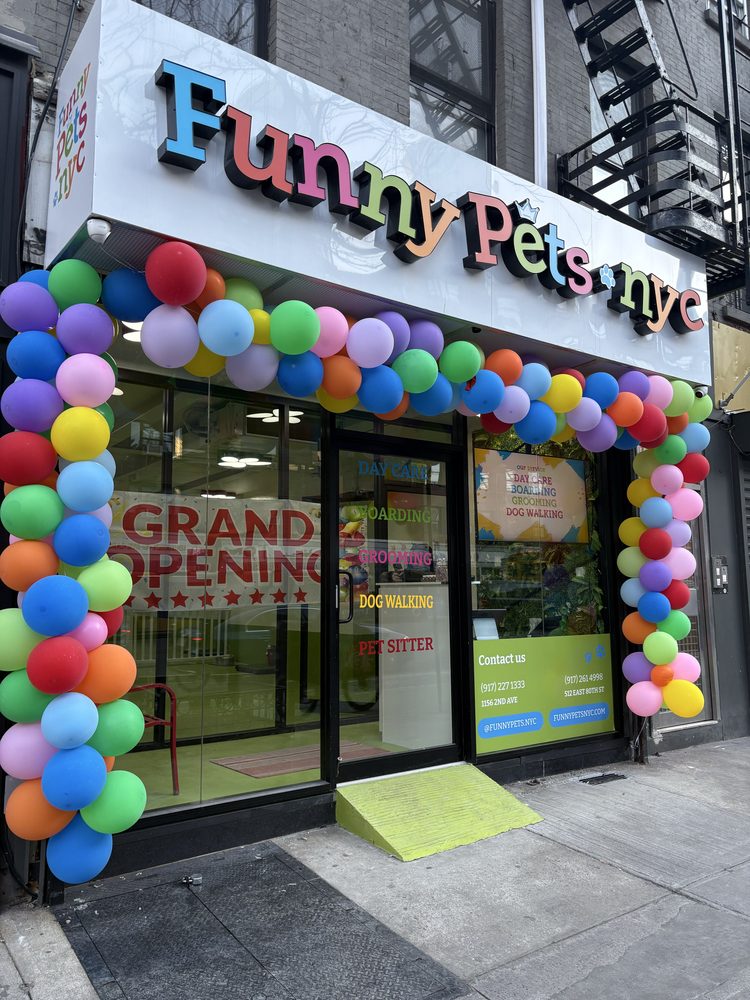 Funny Pets - pet boarding facility in Manhattan, NY