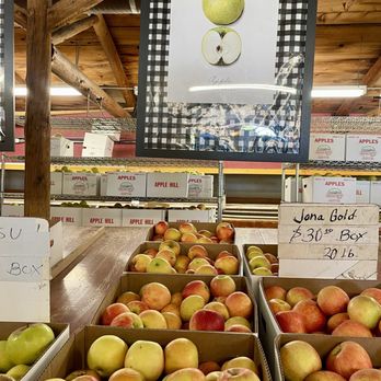 High Hill Ranch - Apples - Donuts Near Me - Placerville, California High Hill Ranch - Apples - Donuts Near Me - Placerville, California
