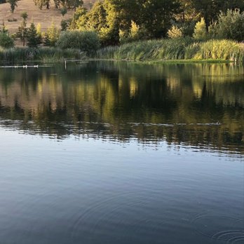 Cloverdale Healdsburg Campground - Pond - Campgrounds Near Me - Cloverdale, California Cloverdale Healdsburg Campground - Pond - Campgrounds Near Me - Cloverdale, California