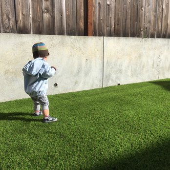 Urbane Artificial Greens - My boy checking out the new artificial lawn - Artificial Turf Near Me Urbane Artificial Greens - My boy checking out the new artificial lawn - Artificial Turf Near Me