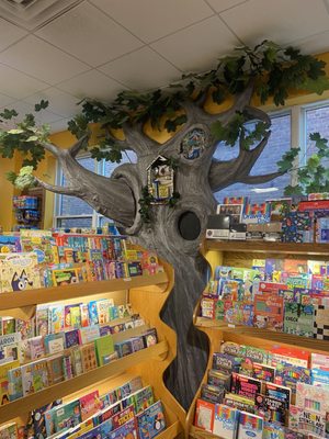 Northshire Bookstore by null