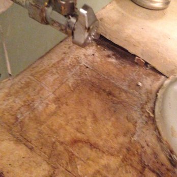 Emerald Courts - This is what we found behind our toilet ! - Apartments Near Me - Woodridge, Illinois