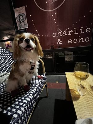Charlie & Echo by null