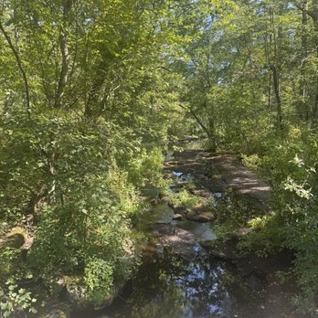 Ben Utter Trail - Hiking Near Me