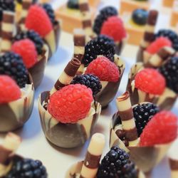 The Red Tea Room Catering - Chocolate mousse tulip cups with fresh berries
