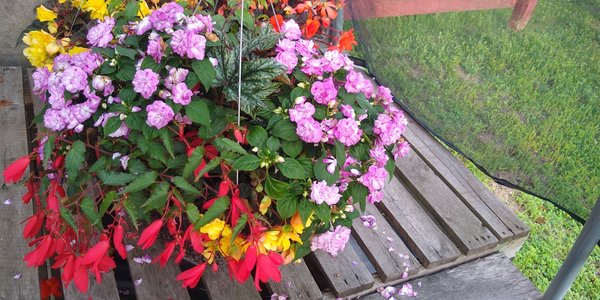 RAINTREE GARDEN CENTER - Updated October 2025 - 7470 20th Ave, Eau ...