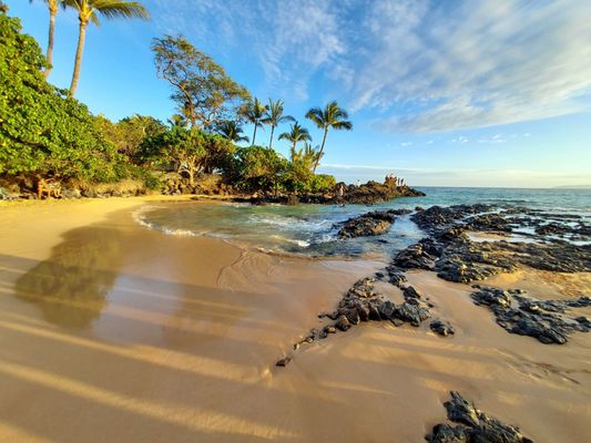 Makena Cove by null