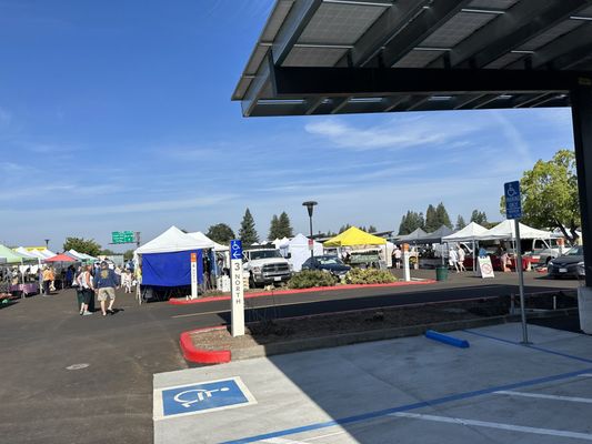 Santa Rosa Original Certified Farmers Market by null