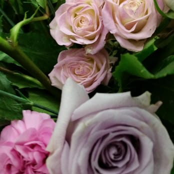 Brisas Flowers - ORDERED BEAUTIFUL LAVENDER ROSES...... AND GOT THESE DELIVERED INSTEAD!! - Floral Designers Near Me - Gainesville, Georgia Brisas Flowers - ORDERED BEAUTIFUL LAVENDER ROSES...... AND GOT THESE DELIVERED INSTEAD!! - Floral Designers Near Me - Gainesville, Georgia
