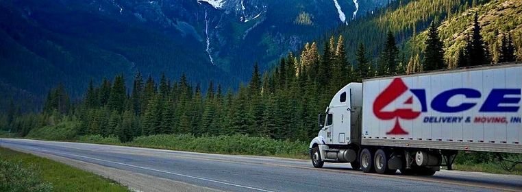 ACE WORLDWIDE LOGISTICS INC