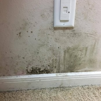 Galaxy Construction - water damage and the mold that has been leaking into my house and down my walls - Roofing Near Me - Houston, Texas
