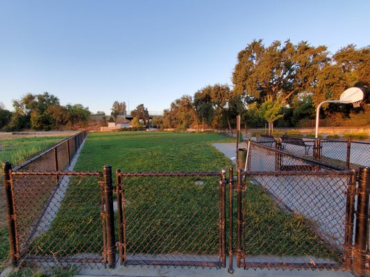 Cannery Park Dog Park