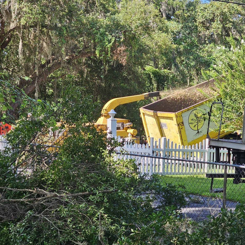 Southern Tree Services - Tree Services Near Me