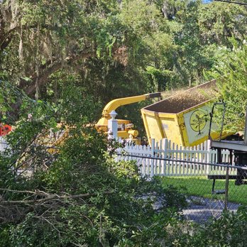 Southern Tree Services - Tree Services Near Me Southern Tree Services - Tree Services Near Me
