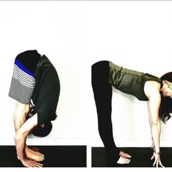 Let It Flow - Sun Salutation Workshop May 19th 2pm with Andy & Tamara Totman