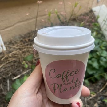 Coffee and Plants - Chai Latte - Coffee & Tea Near Me - Pasadena, California Coffee and Plants - Chai Latte - Coffee & Tea Near Me - Pasadena, California