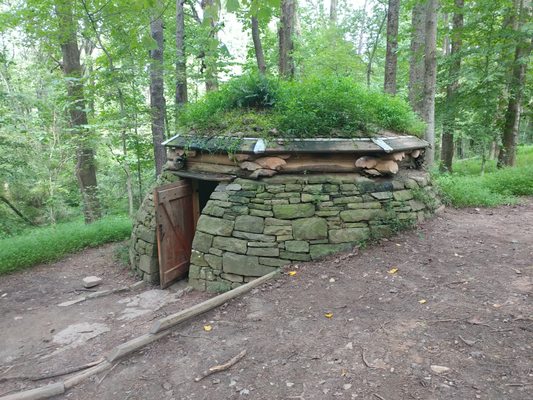 Cloud Chamber for the Trees and Sky by null