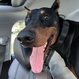 Happy healthy boy! Thanks to VEG Happy healthy boy! Thanks to VEG