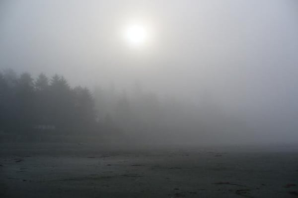 Chesterman Beach by null