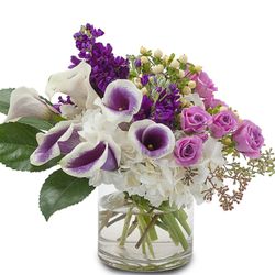 Styled Stems - Rest and Relaxation