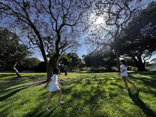 Polliwog Park by null