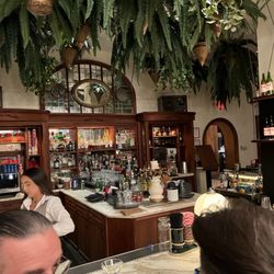 Little Fino - 11/15/25 Bar
