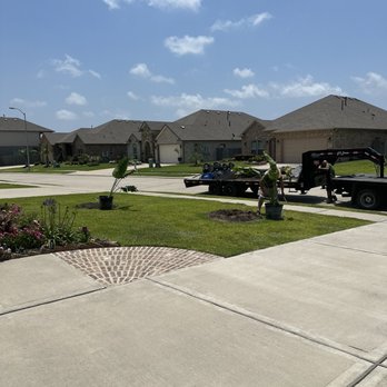 Palm Professionals Tropical Nursery - Palm Delivery - Nurseries & Gardening Near Me - La Marque, Texas Palm Professionals Tropical Nursery - Palm Delivery - Nurseries & Gardening Near Me - La Marque, Texas