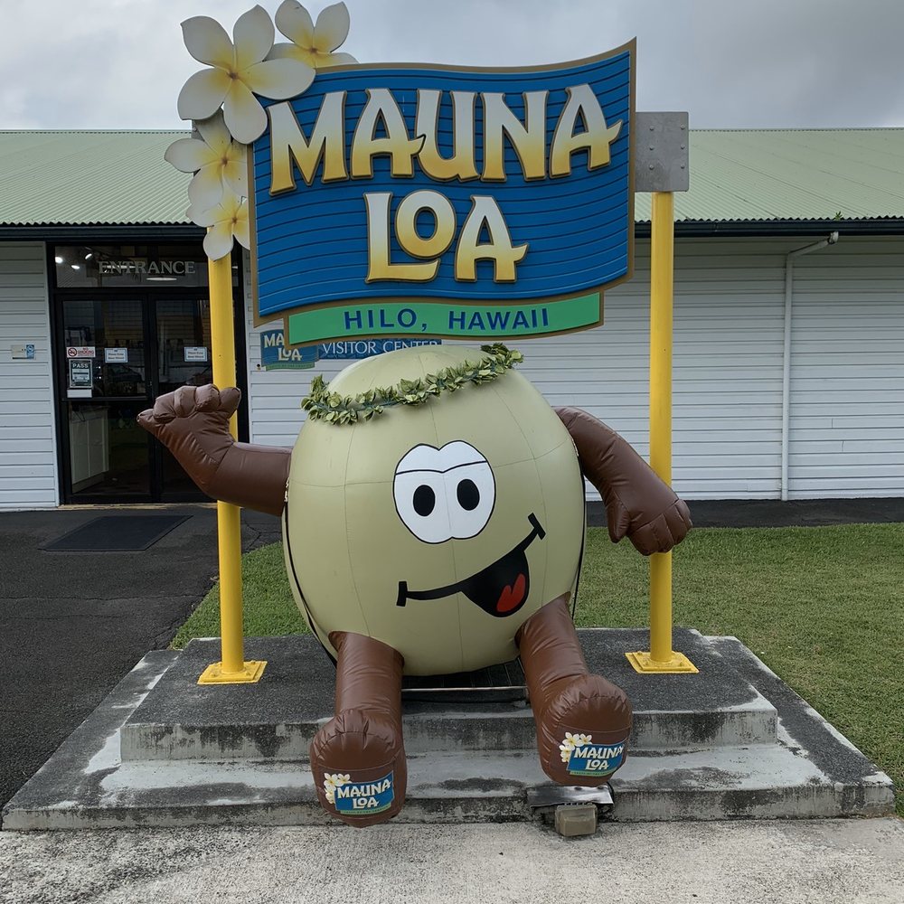 Mauna Loa Macadamia Nut - Outside the gift shop - Chocolatiers & Shops Near Me - Keaau, Hawaii Mauna Loa Macadamia Nut - Outside the gift shop - Chocolatiers & Shops Near Me - Keaau, Hawaii