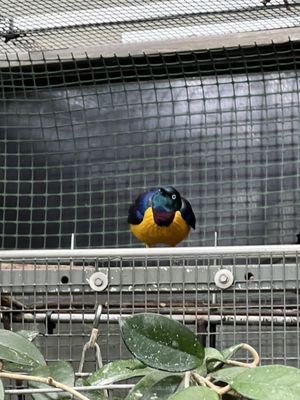 Oregon Zoo by null
