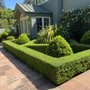 Photo of Jose Gonzalez Landscaping Services